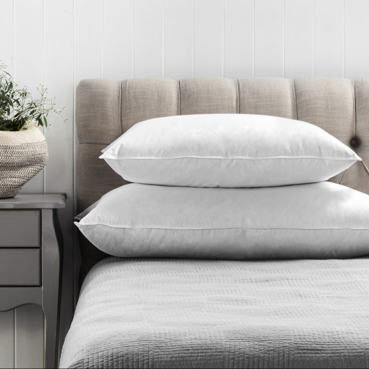 Feather pillow The Bedroom Shop Online