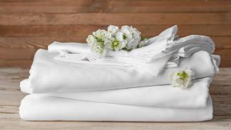 The Bedroom Shop 200tc Cotton Flat Sheet