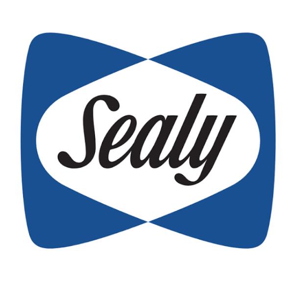 Sealy Pillows, Protectors & Converters